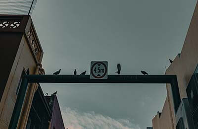 紀律處分條例心得體會