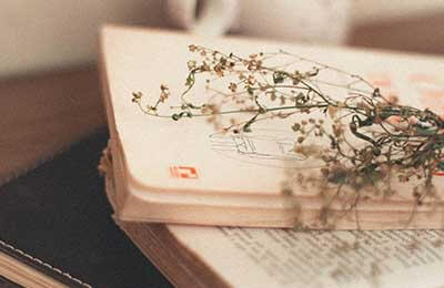 思鄉(xiāng)的詩歌