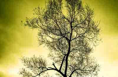 效果評(píng)估報(bào)告