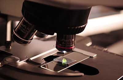 科學(xué)翻譯論文