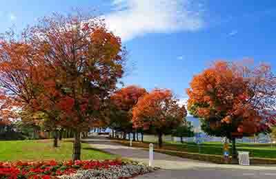 幼兒園環境創設論文