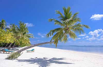 旅游現場辦公講話