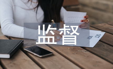 企業(yè)會(huì)計(jì)監(jiān)督調(diào)研報(bào)告