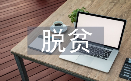 脫貧攻堅的基本方略