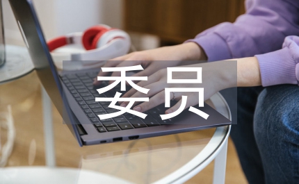 村委委員年度述職報告