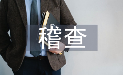 稽查工作要點(diǎn)