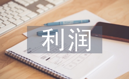 收入費用利潤實訓總結