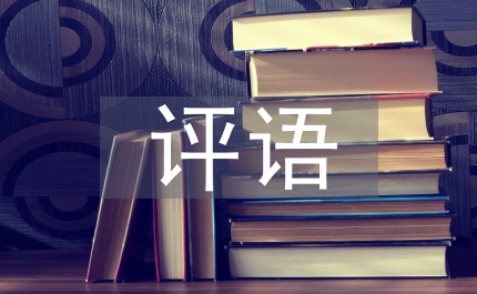 社會實(shí)踐評語
