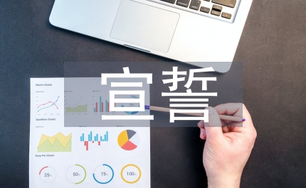 入團宣誓儀式活動總結