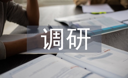 城市設(shè)計(jì)調(diào)研