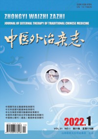 中醫外治雜志