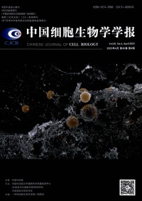 中國細(xì)胞生物學(xué)學(xué)報(bào)雜志